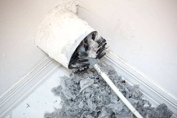 Professional Airduct Cleaning in Muniz, TX